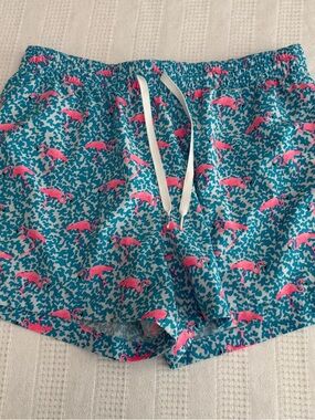 chubbies Teal Swim Trunks with Pink Flamingo Print